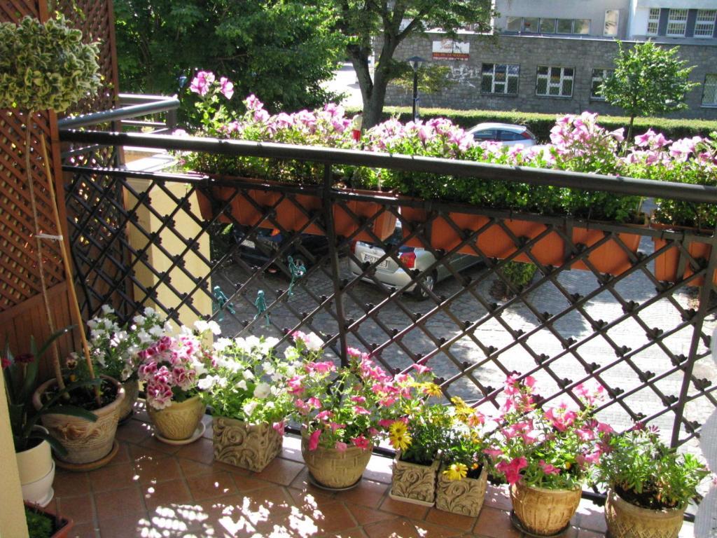 Patio Mare Amber Apartment Sopot Exterior foto